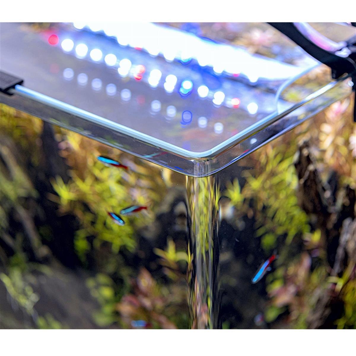 AQUAEL-AQUARIUM OPTIBENT BLACK SET 705905546330343