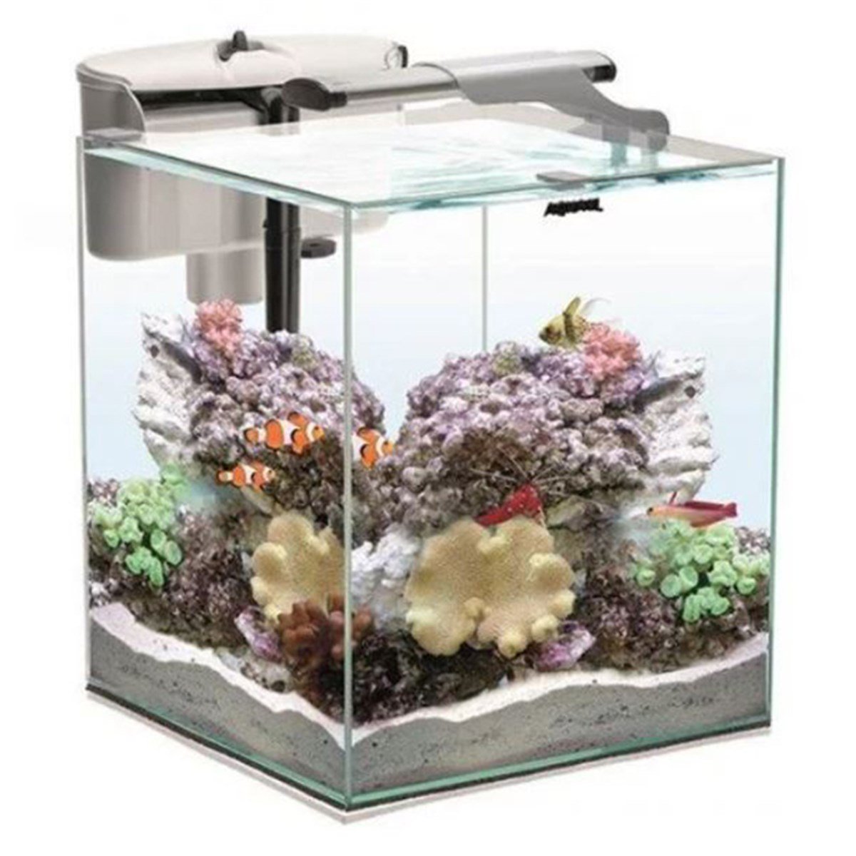 AQUAEL AQUARIUM SET NANO REEF DUO WHITE 1243015905546331371