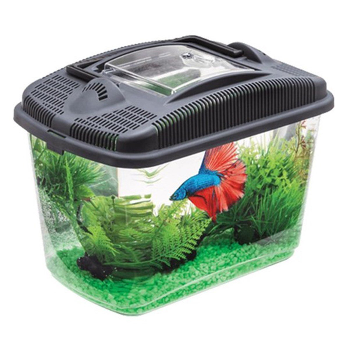 AQUAEL BETTA AKVARYUMU5905546326261- 122983