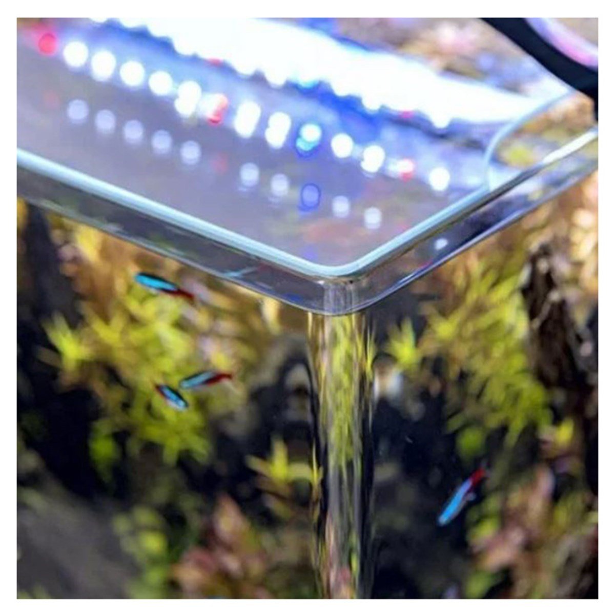 AQUAEL OPTIBENT BLACK SET 30 1241385905546330329