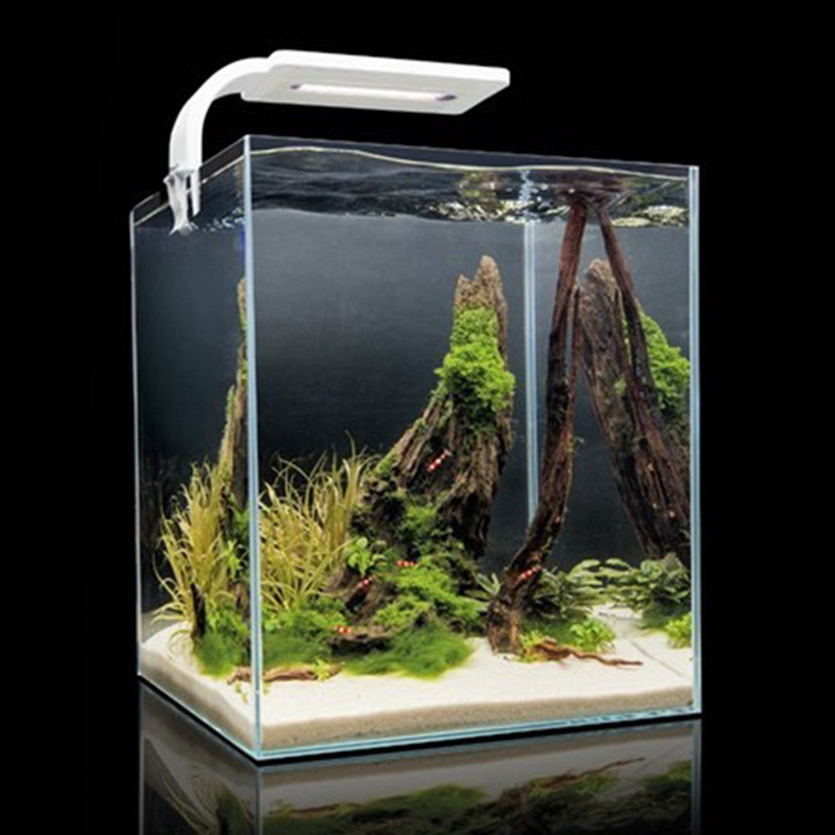 AQUAEL SHRIMP SET SMART D&N 20 WHITE 1229795905546326223