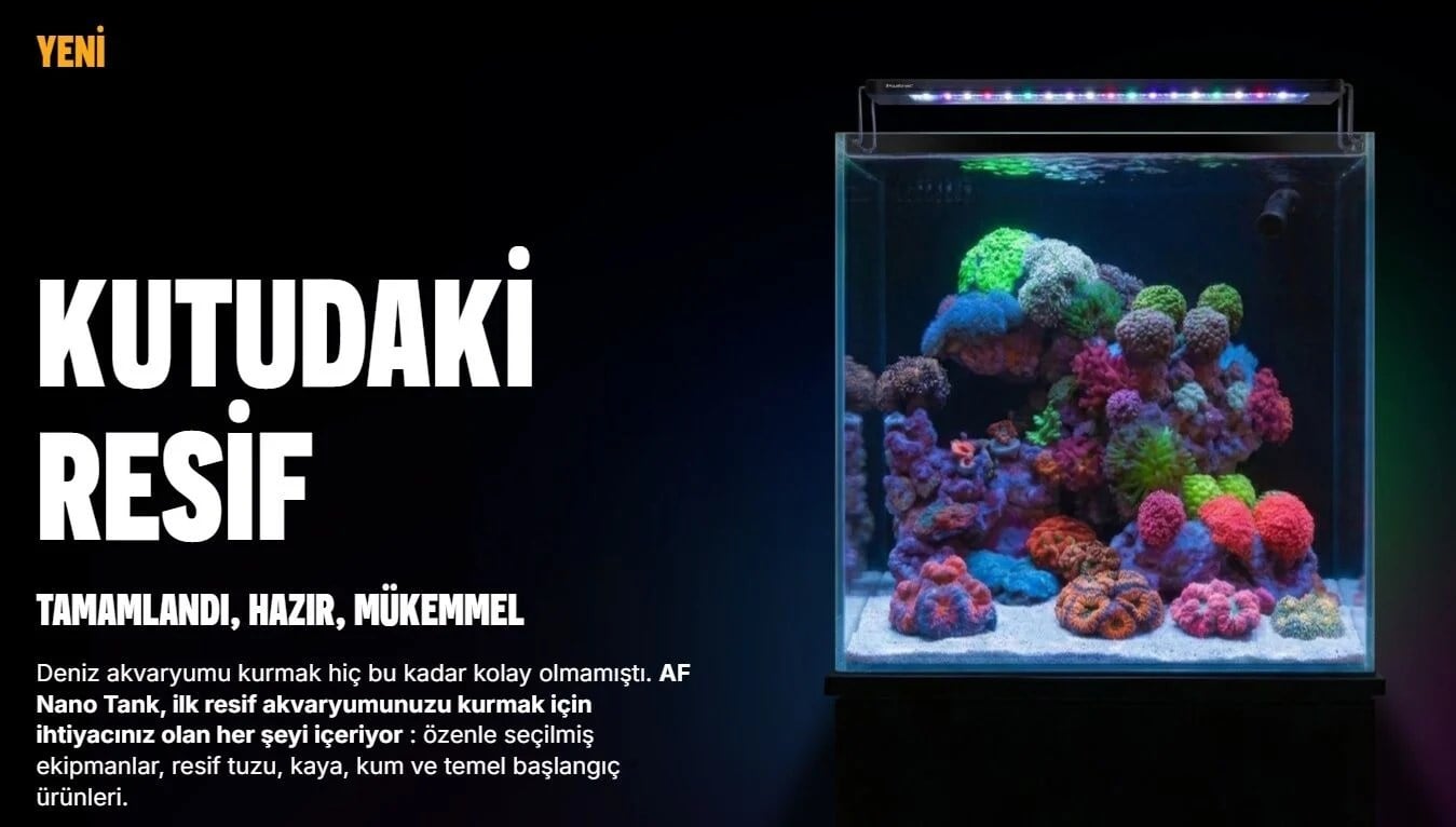 Aquaforest Nano Tank 45 × 45 × 45 cm Deniz Akvaryumu SetiE100123