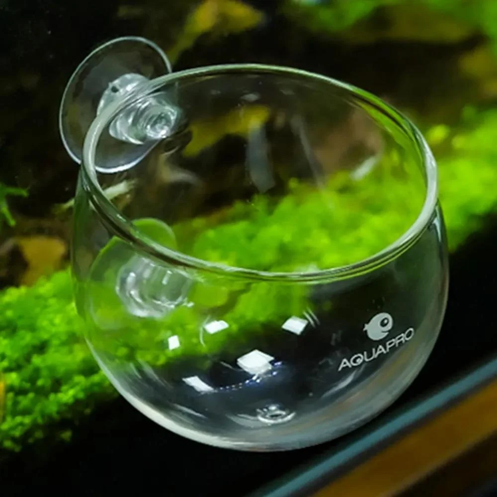 AQUAPRO Glass Plant Pot Cam Bitki Saksısı6975017510252