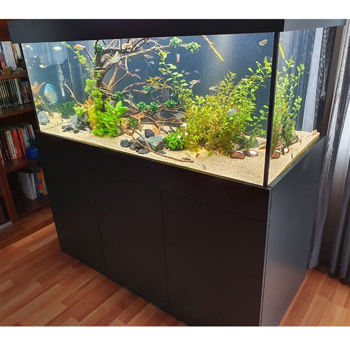 ATAKÖY KONAKLARI Bitkili AkvaryumTasarım2