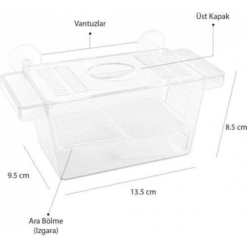 ATLANTİK TEKLİ KRİSTAL YAVRULUK (13X8X8CM)8698764340078