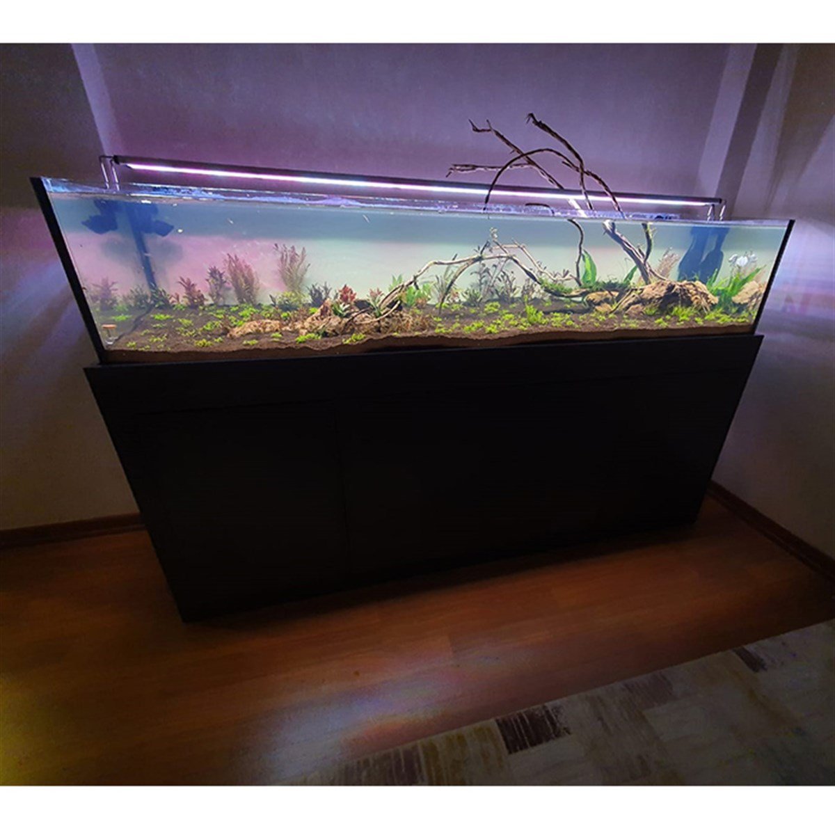 Beykent High Tech Bitkili AkvaryumTasarım10