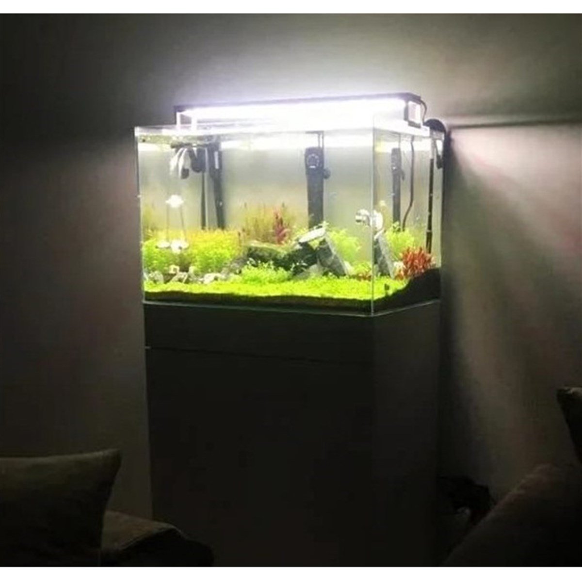 Beylikdüzü High Tech Bitkili AkvaryumTasarım11