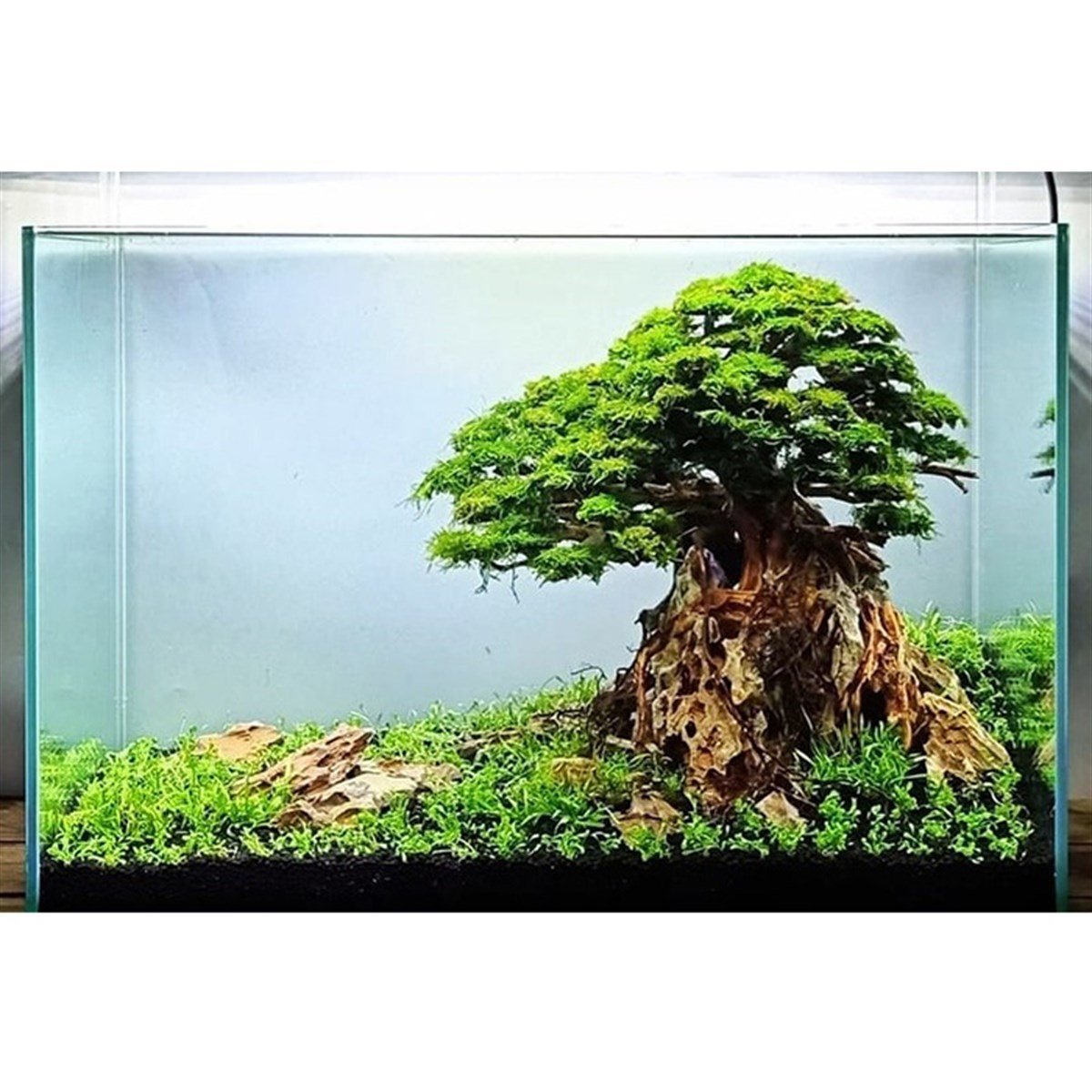 Büyükçekmece Hıgh Tech AkvaryumTasarım16