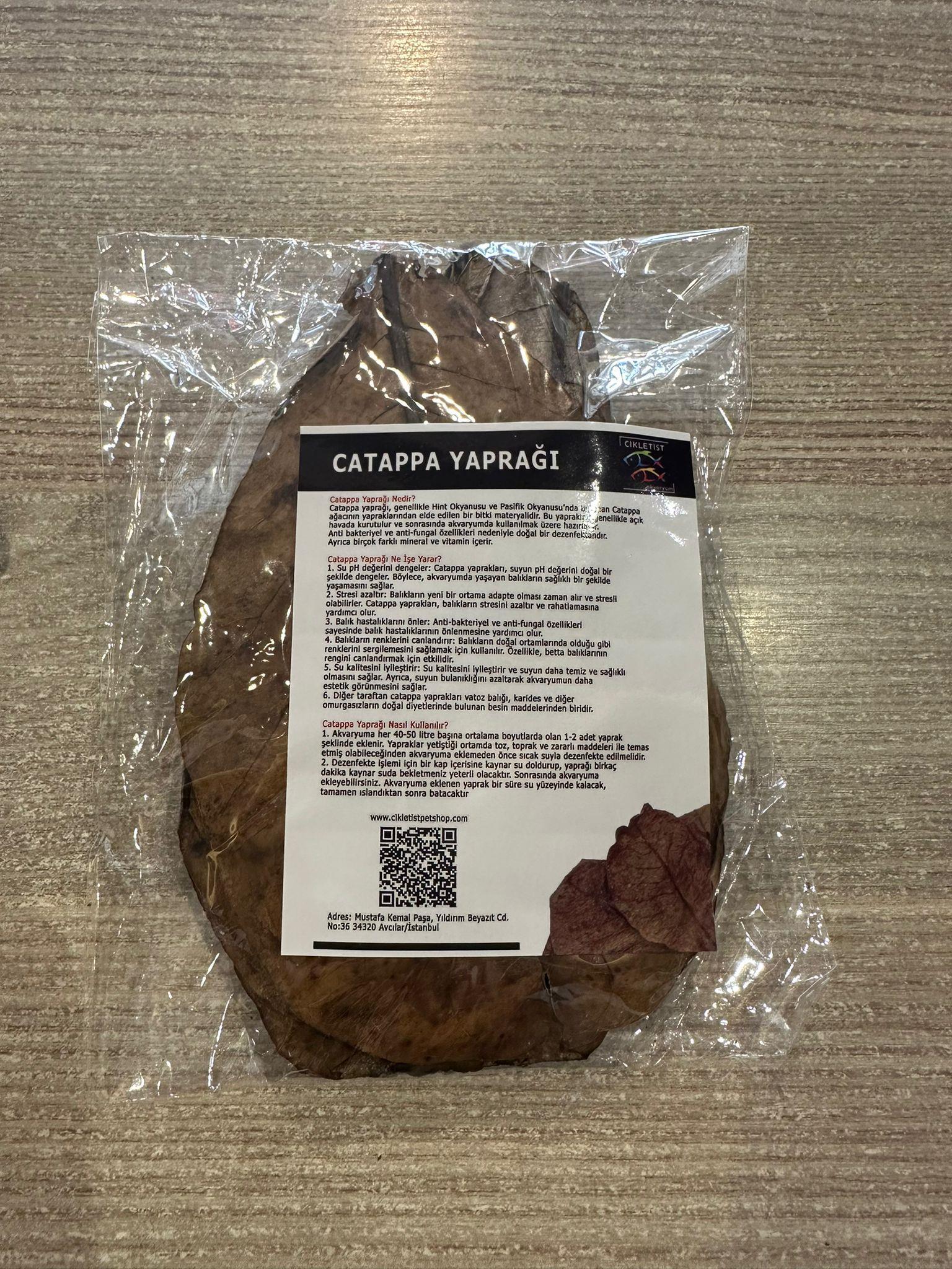 Catappa Yaprağı L Boy (13-15cm) 10'lu paketCATL