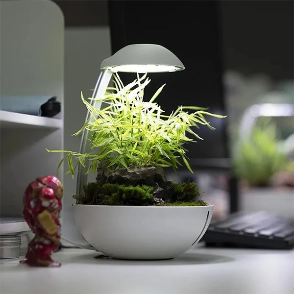 Chihiros Tiny Terrarium Egg (mini teraryum rgb) +bluetooth6974333541445