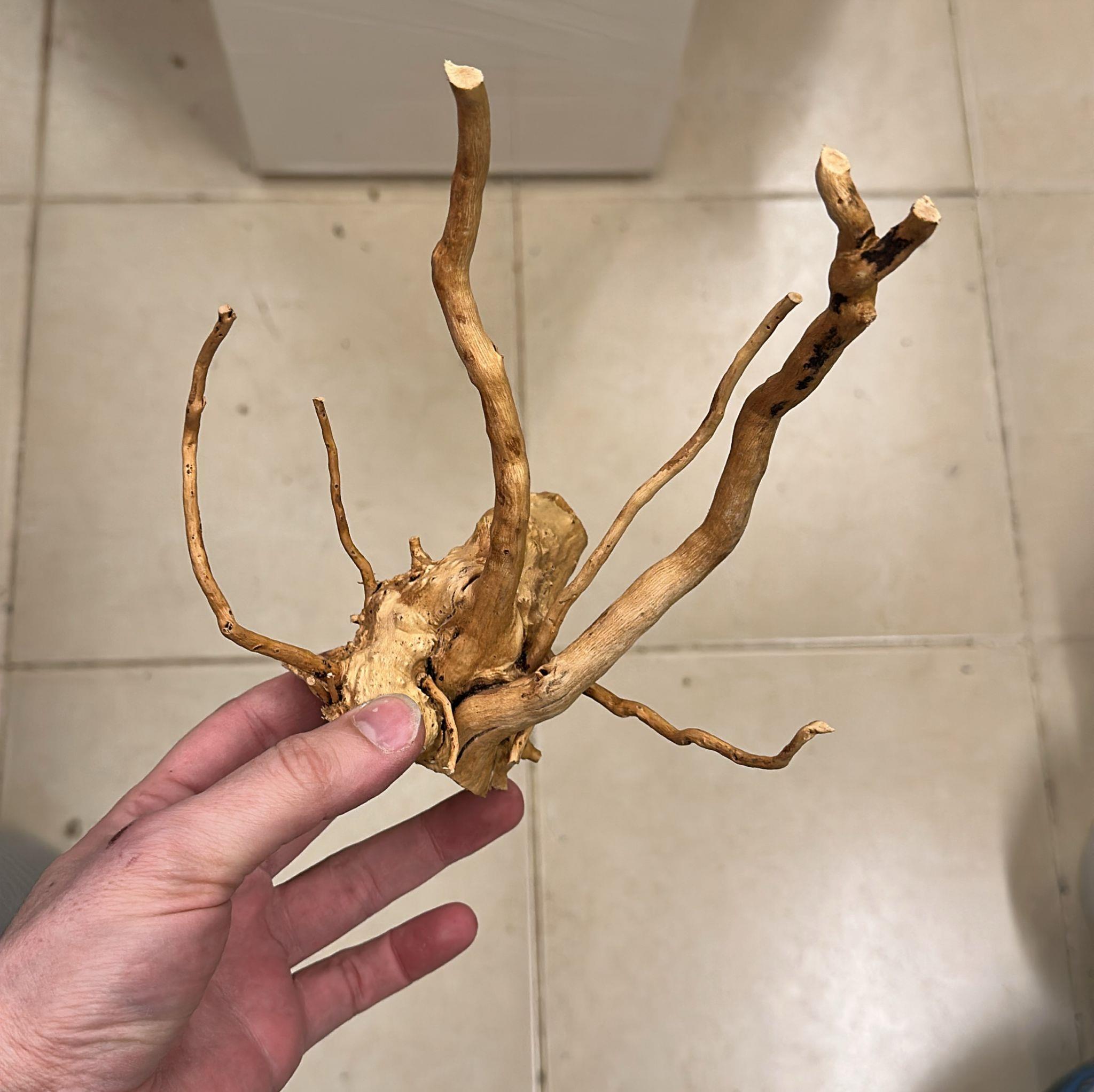 Çöl Kütüğü İnce Dal 3 Kg Koli6500247142784