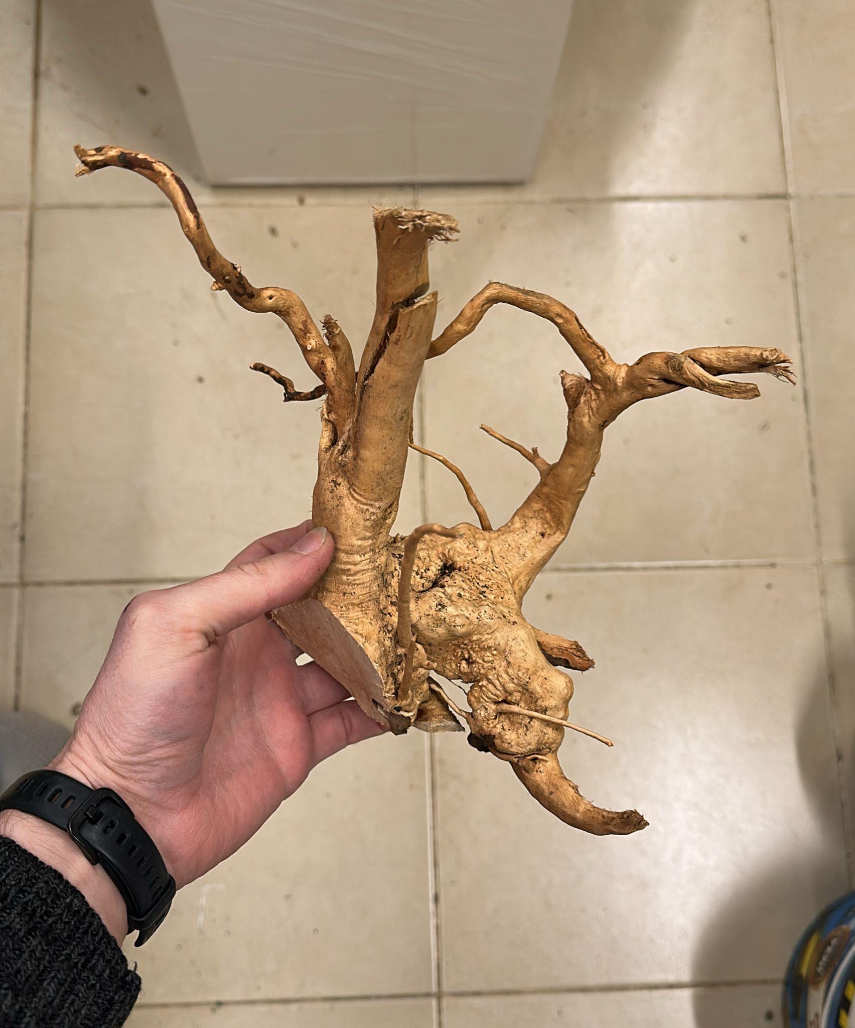 Çöl Kütüğü İnce Dal 3 Kg Koli6500247142784