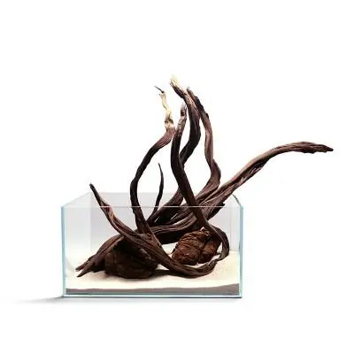 CREAQUA BLACK FLAMEFLAME