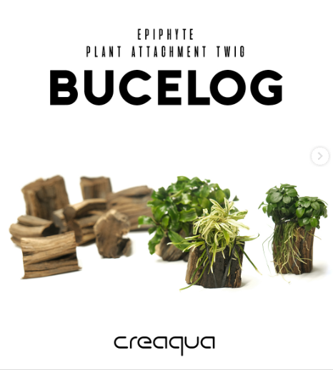 CREAQUA BUCELOG bucelog