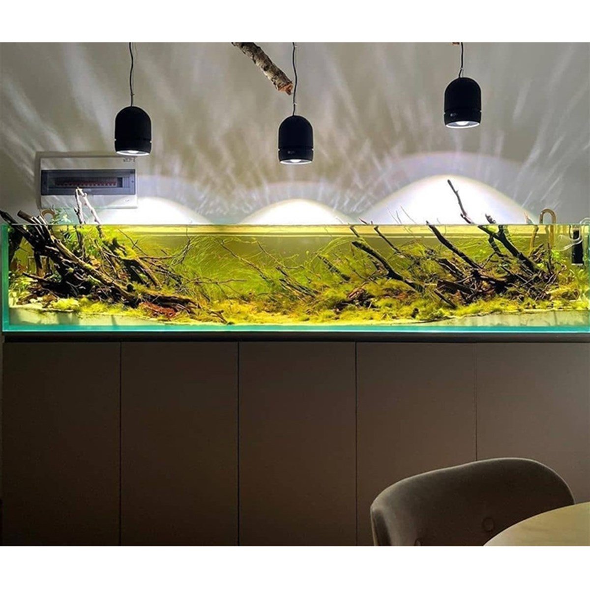 Deniz İstanbul Black Water AkvaryumTasarım14