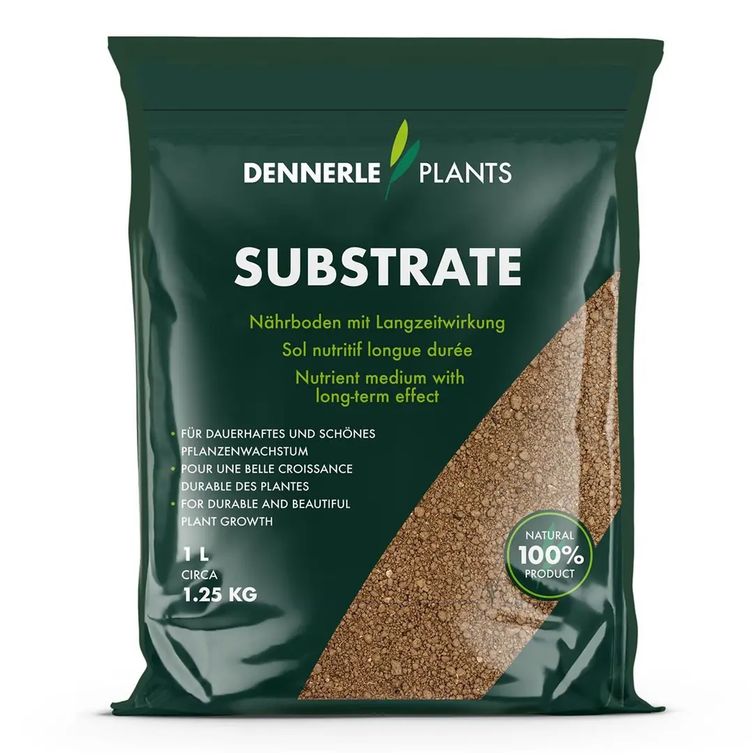 DENNERLE PLANTS SUBSTRATE 1 LT4260614767683