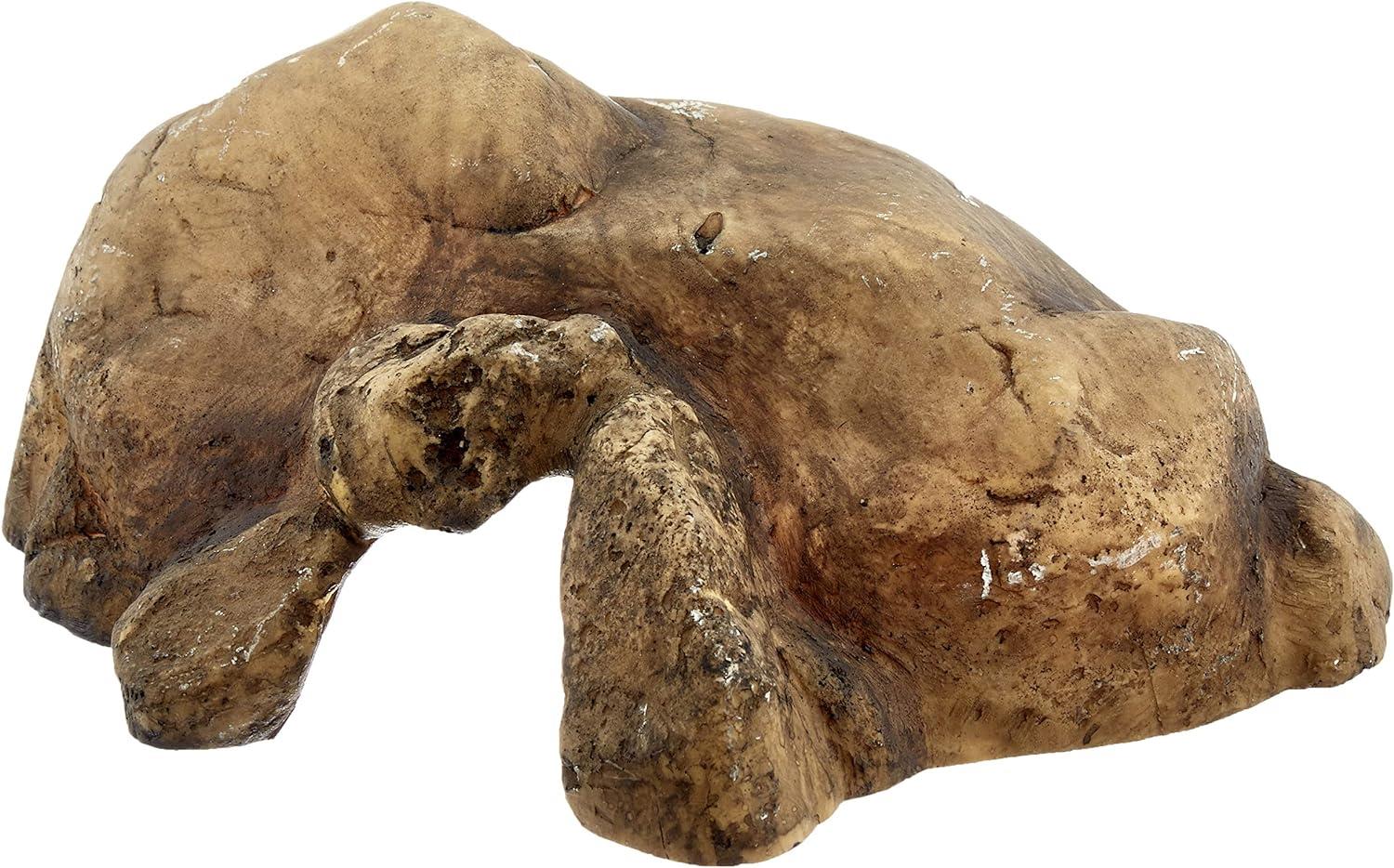 EXO TERRA SÜRÜNGEN MAĞARASI (M)015561229319