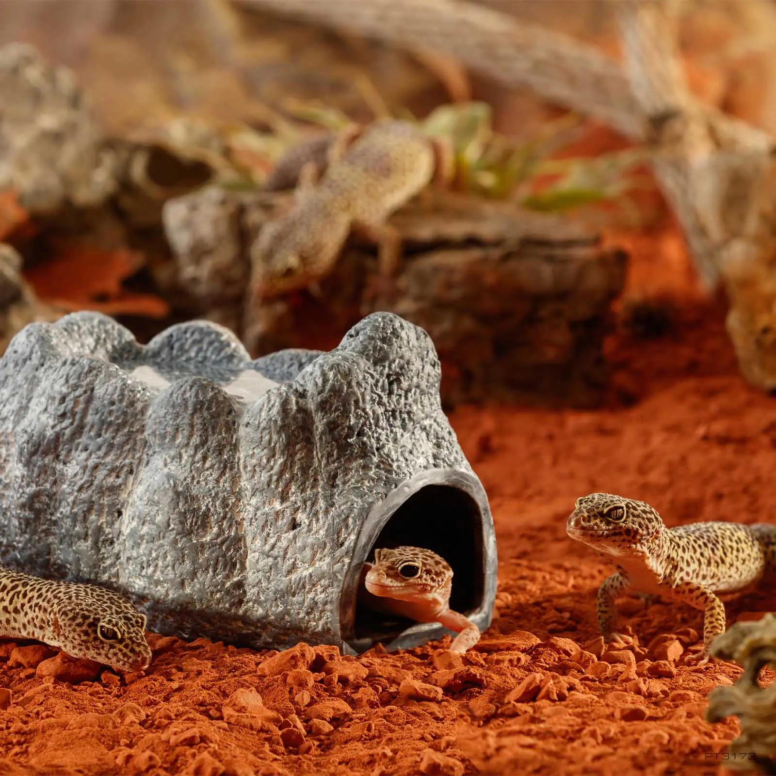 EXO TERRA WET ROCK - CERAMİC CAVE - LARGE015561231732