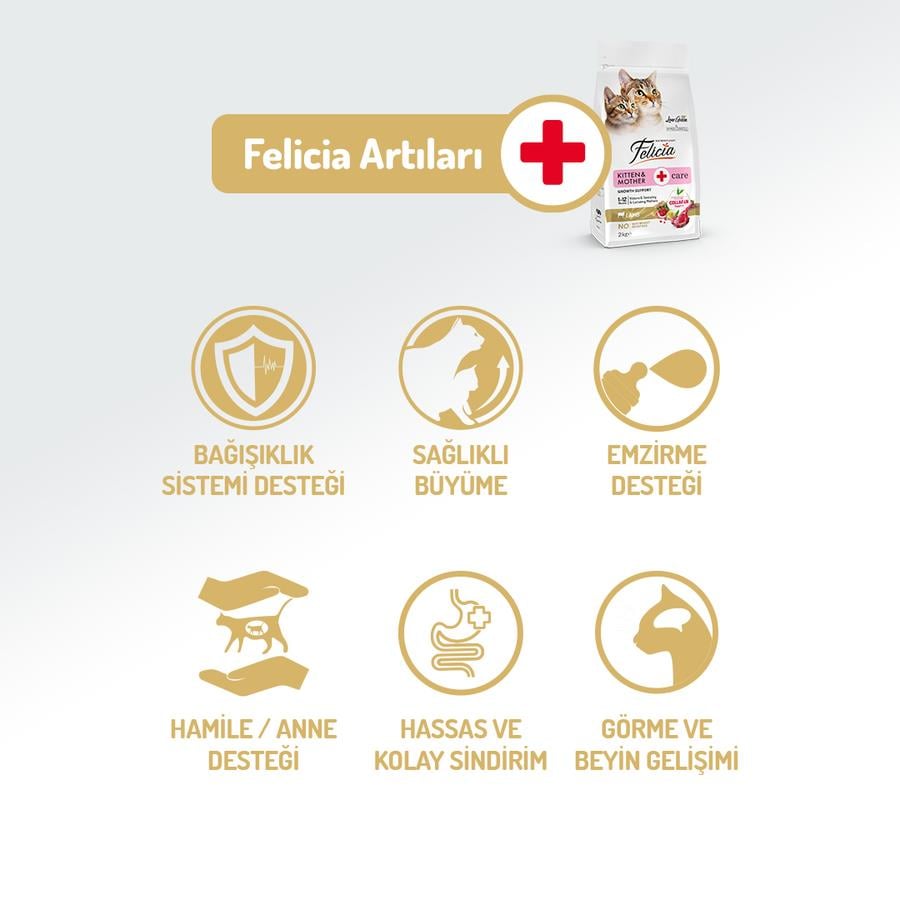 Felicia 2 Kg Kolajenli Kuzulu Az Tahıllı  HypoAllergenic Yavru Kedi Maması8681299606689