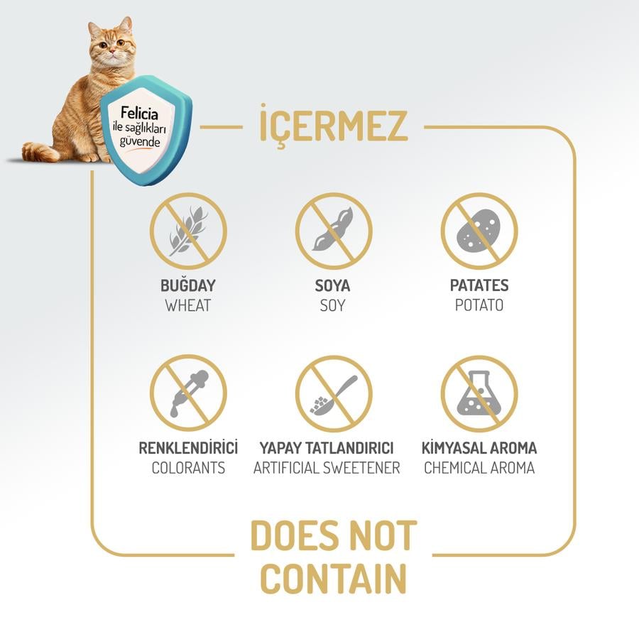 Felicia Az Tahıllı HypoAllergenic Kuzu Etli Yetişkin Kedi Maması 2 Kg8681299606665