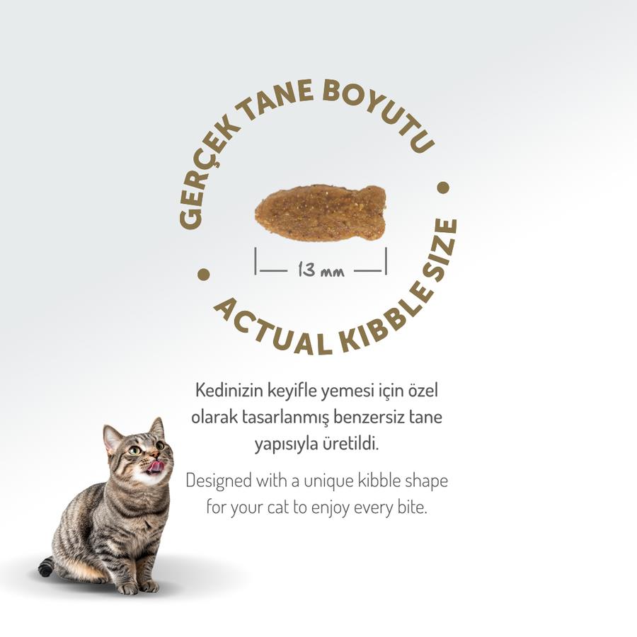 Felicia Kedi Maması Somonlu Az Tahıllı 2 Kg8681299601301
