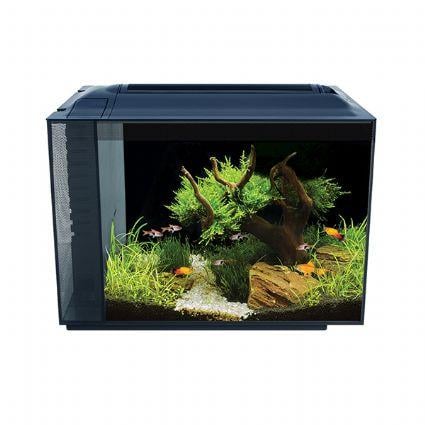 FLUVAL SPEC AKVARYUM 60 L SİYAH015561105255