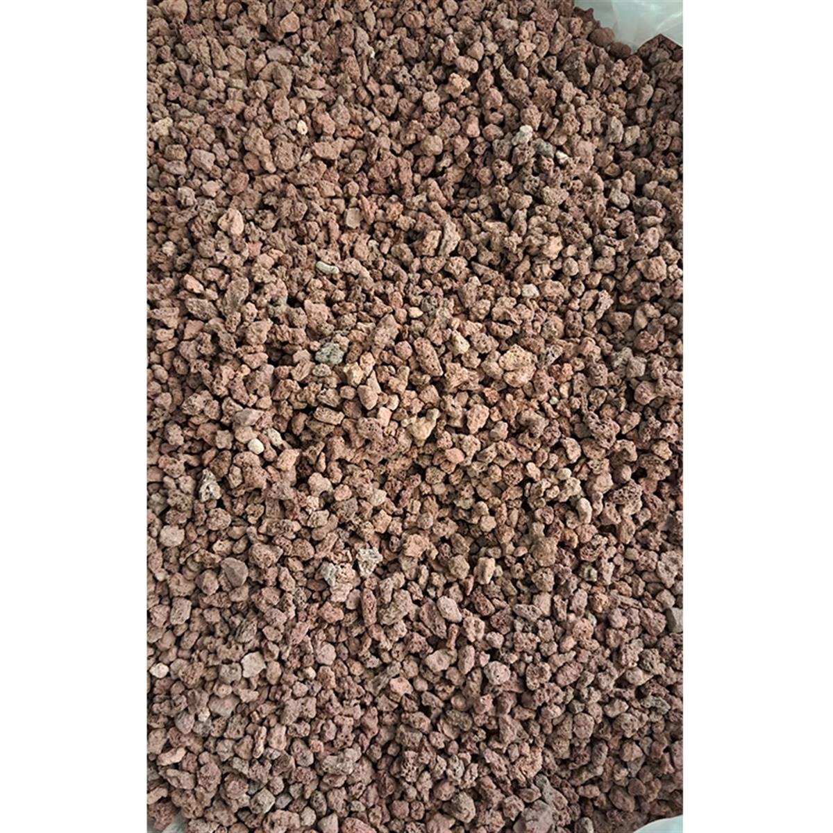 ICELAND SORREL LAVA 1 KG50020