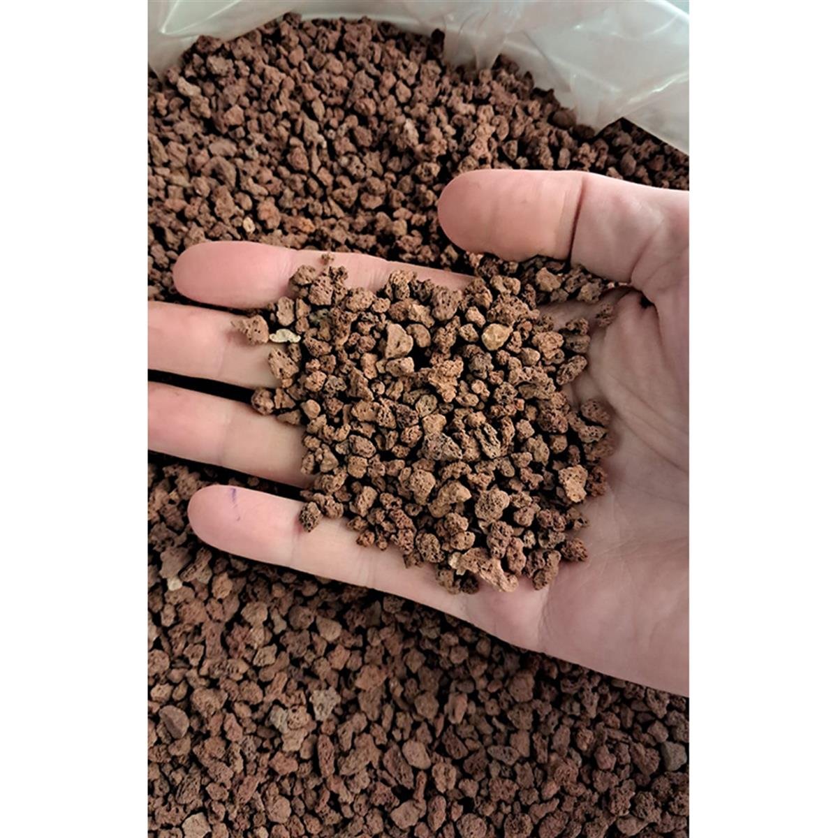 ICELAND SORREL LAVA 1 KG50020