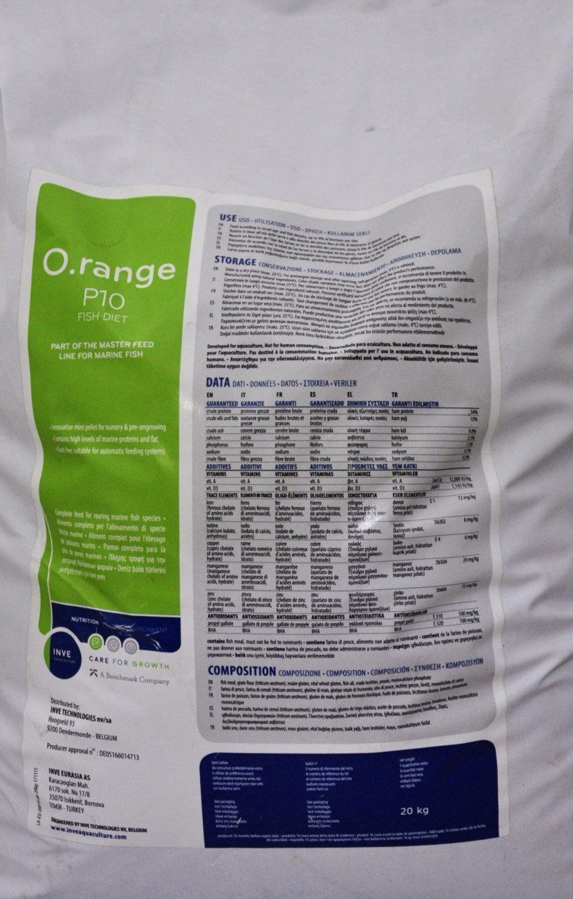 INVE O.RANGE NURSE P-10 1MM BALIK YEMİ 100 GRINVEP10