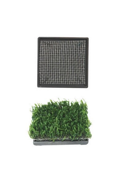 ISTA BİTKİ TABAN SERAMİK 6,5 CM KARE