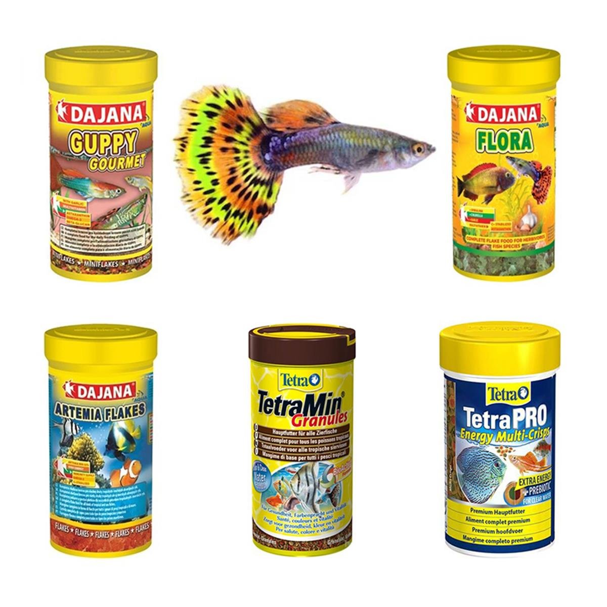 Lepistes Balıklarına Özel Yem Paketi (AÇIK YEM)Lepistespaket