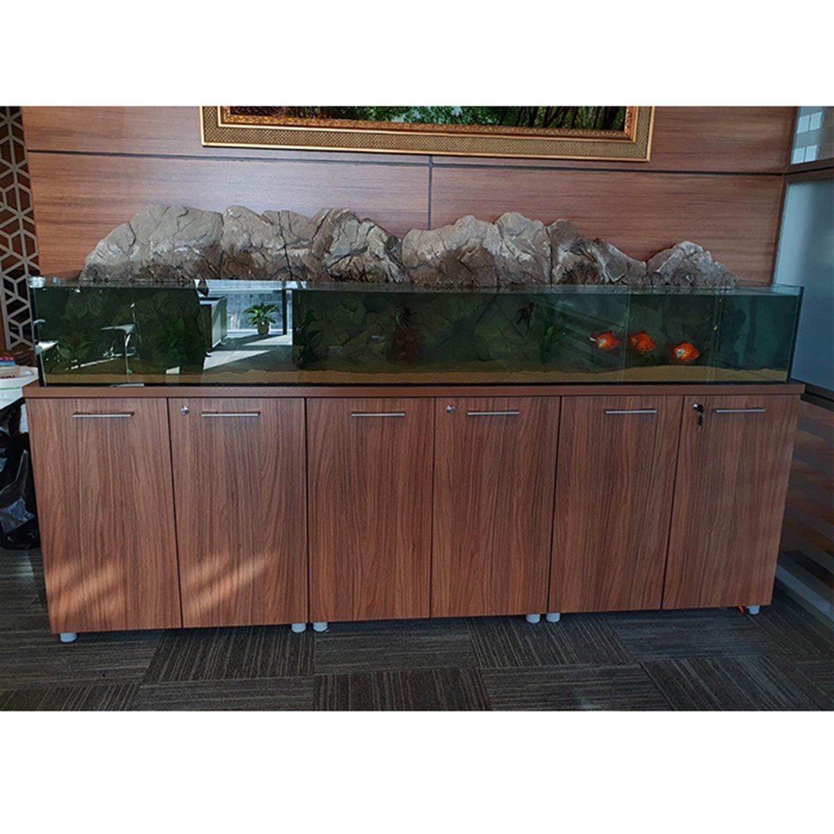 Levent Plazalar Goldfish AkvaryumuTasarım6