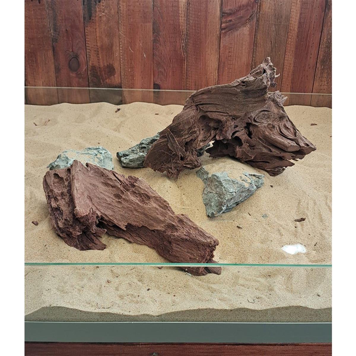 Mangrove Kökü L BoyMangoL