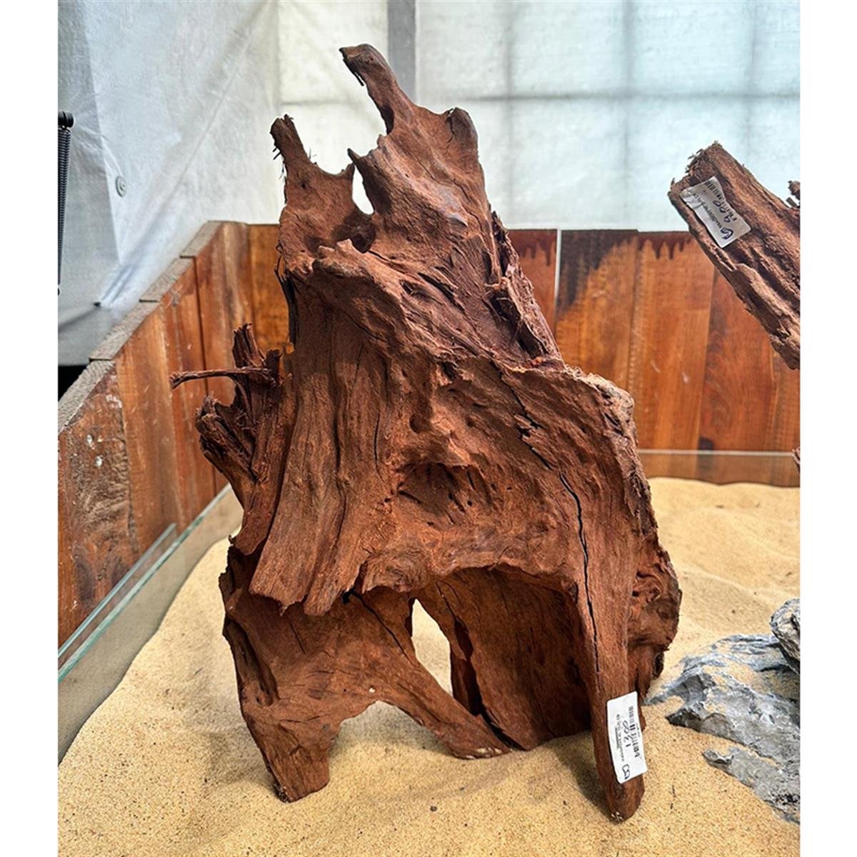 Mangrove Kökü XL BoyMangoXL