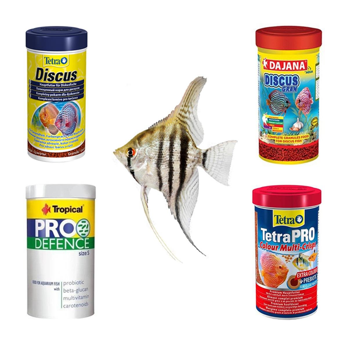 Melek Balıklarına Özel Yem Paketi (AÇIK YEM)Melekbalığıpaket