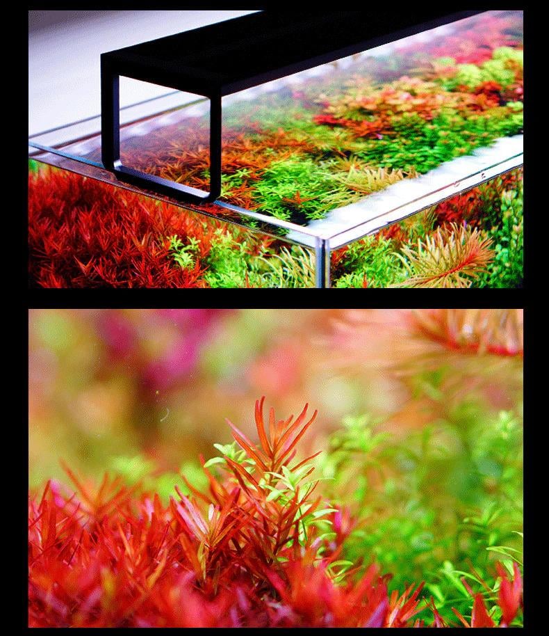 NETLEA NL 120S FULL SPEKTRUM 100 LED 120W (120 CM)6949625021080