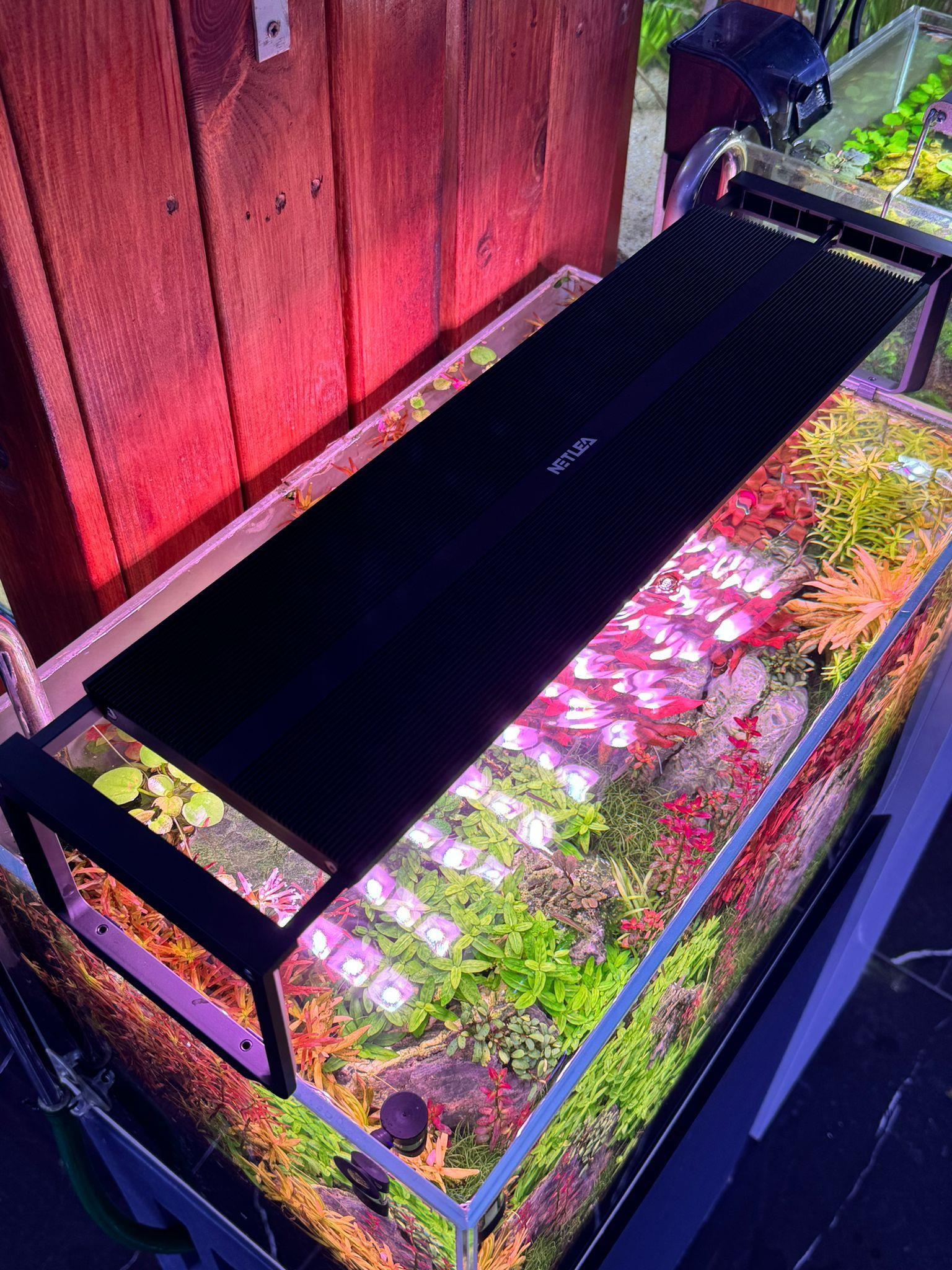 NETLEA NL 530S FULL SPEKTRUM 24 LED  35 W (30-40 CM)6949625021028