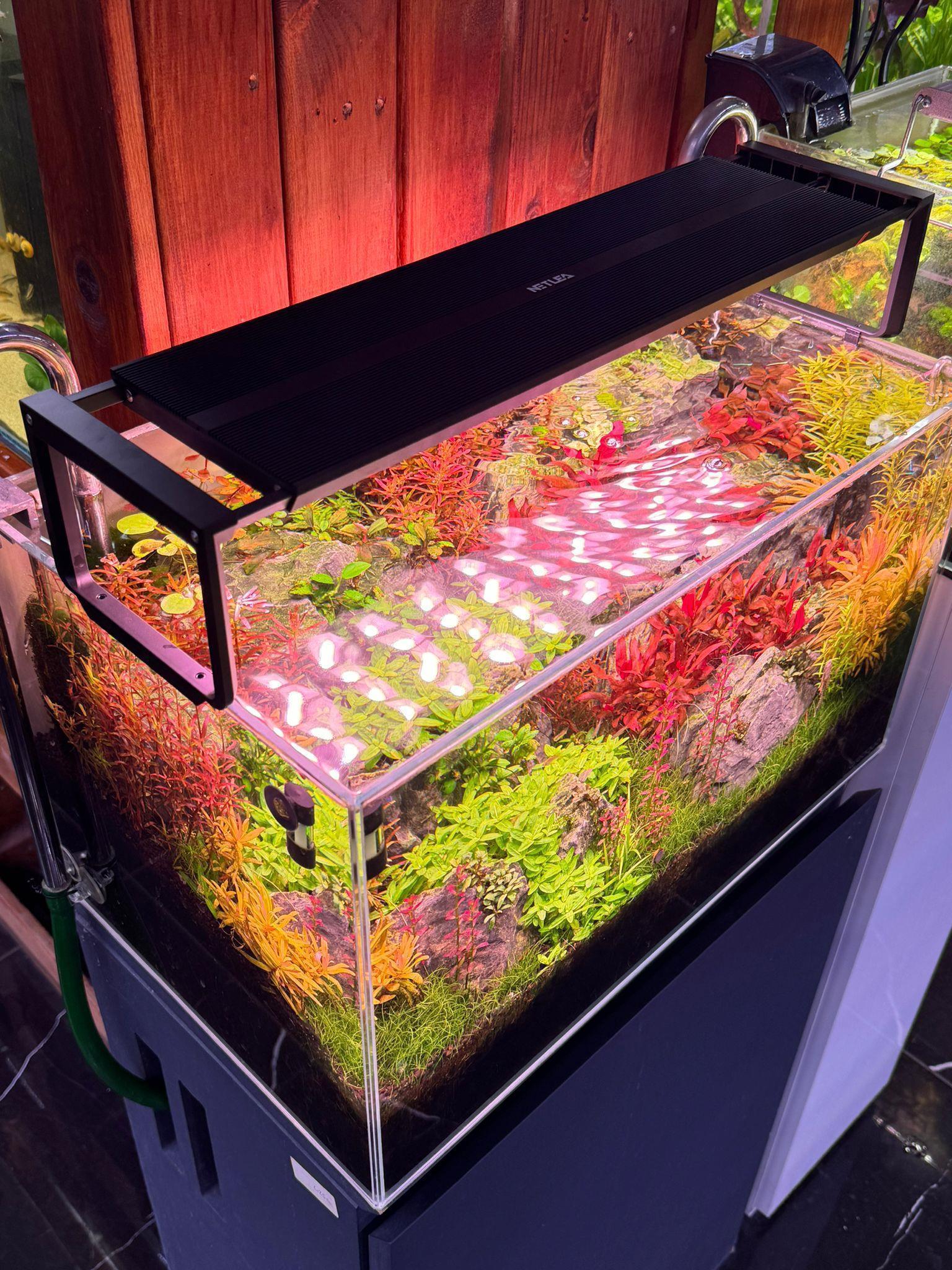 NETLEA NL 530S FULL SPEKTRUM 24 LED  35 W (30-40 CM)6949625021028