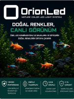 ORIONLED GROLÜX A SERİSİ G-A-208684180592566
