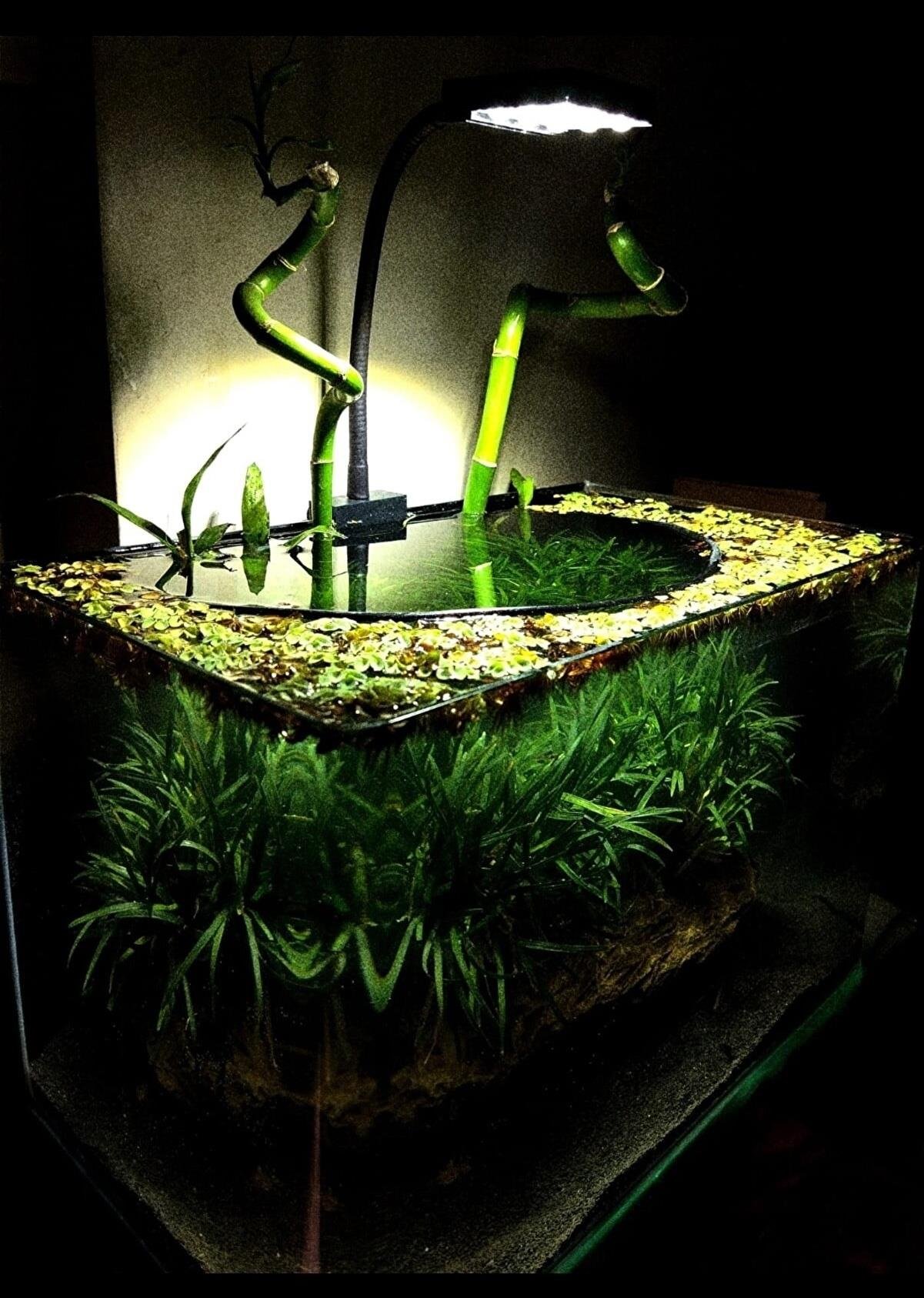 ORİONLED NANO M1 KARIŞIK RENK 30 40 CM TANK  12WORIONLEDNANOM1KR