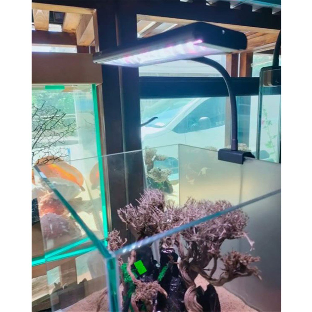 Orionled Plant Plus NanoOrionPPN