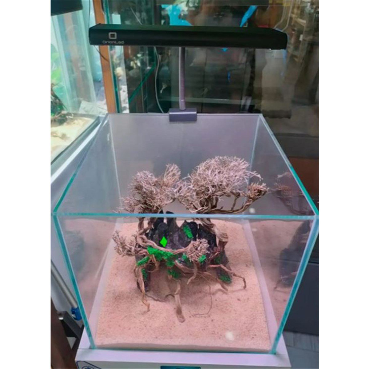 Orionled Plant Plus NanoOrionPPN
