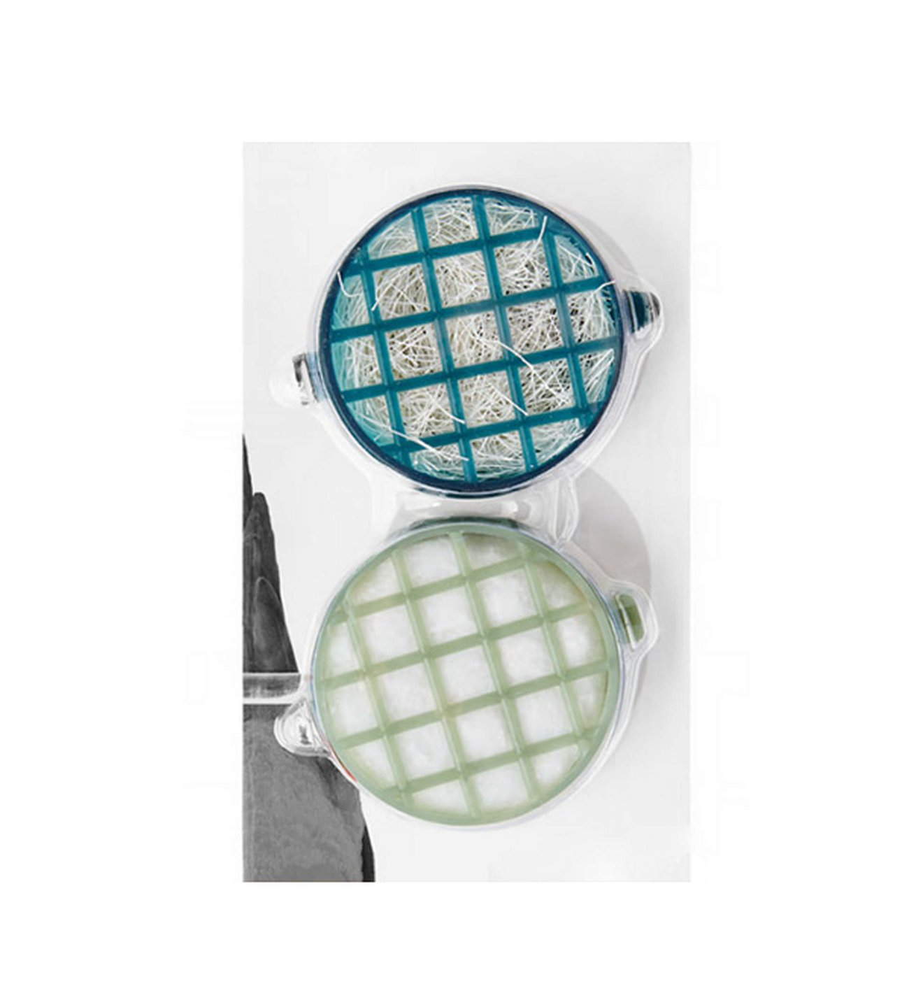 PAWİSE KUŞLAR İÇİN YUVA KILI8886467595813