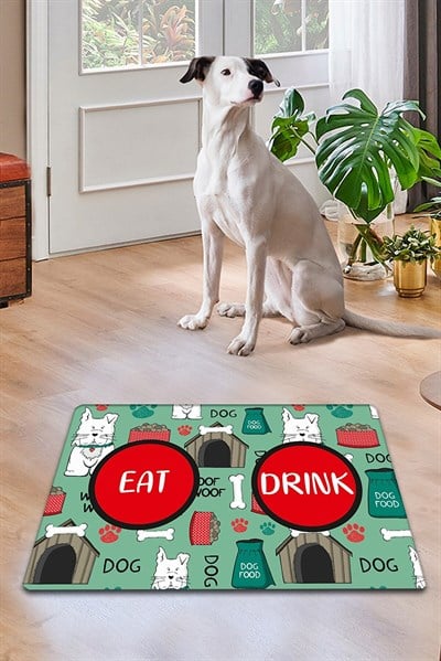 PVC HUT BOWL KEDİ KÖPEK MAMA PASPASI