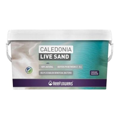 REEFLOWERS CALEDONİA LİVE SAND - GOLD 18 KG