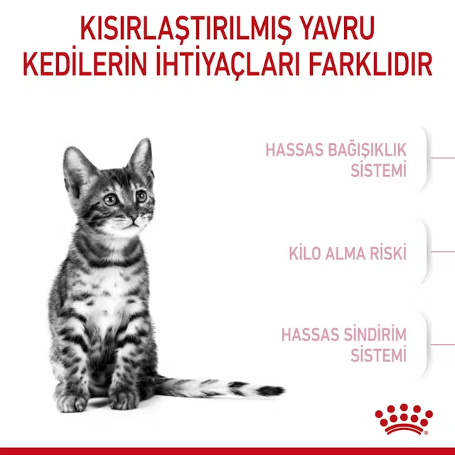 ROYAL CANIN KITTEN STERILISED 2 KG KISIRL3182550805186