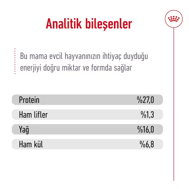 ROYAL CANIN MINI ADULT KÜÇÜK IRK KÖPEK MAMASI 4 KG3182550772822