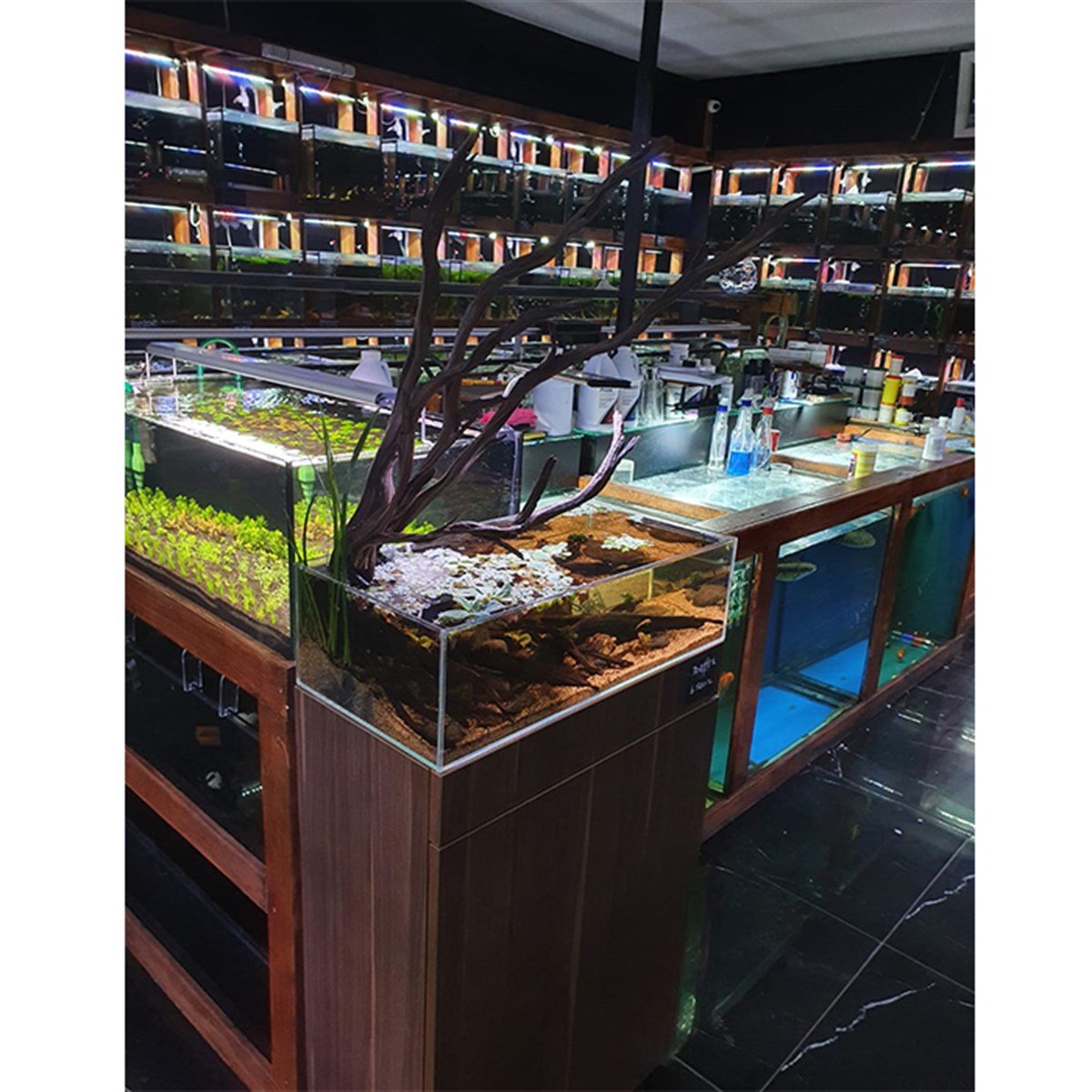 Shallow Akvaryum ModeliTasarım22