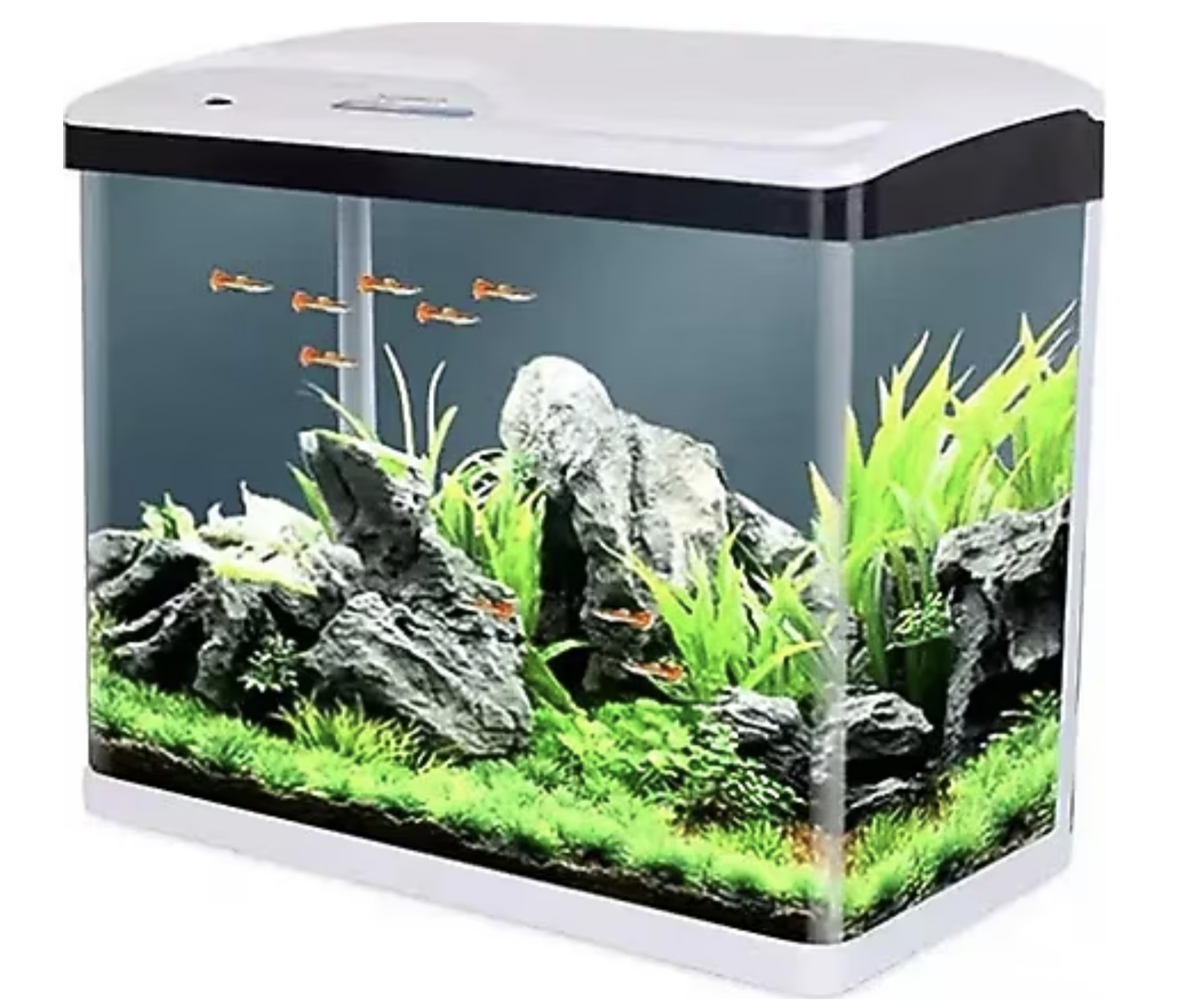 SOBO 300F KOMPLE AKVARYUM 30X19X33,5 BEYAZ6925394870111