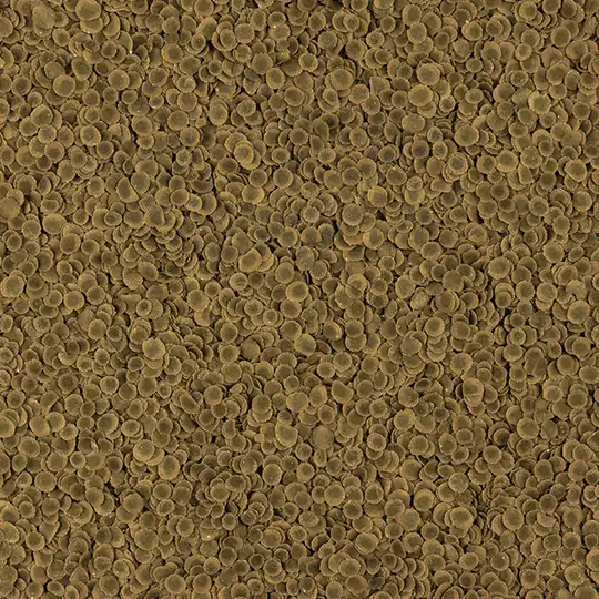 TETRA PRO ALGAE MULTİ-CRİSPS 100ML4004218138988